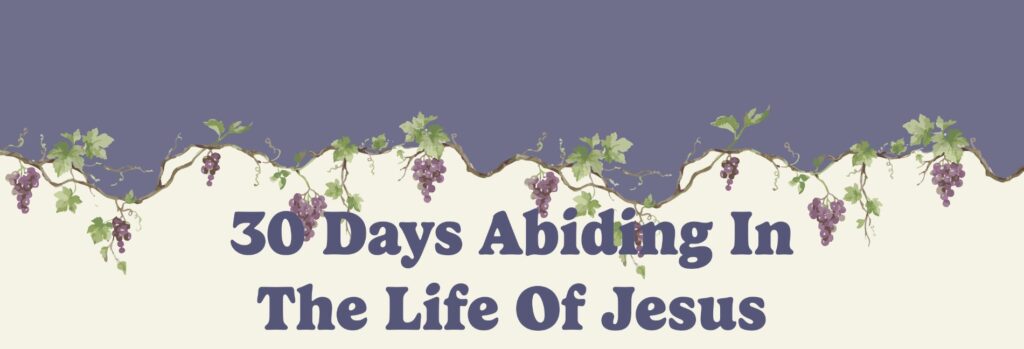 30 Days Abiding in the Life of Jesus graphic with grapevine design, emphasizing spiritual growth and connection to Christ through the 'Abide' program.