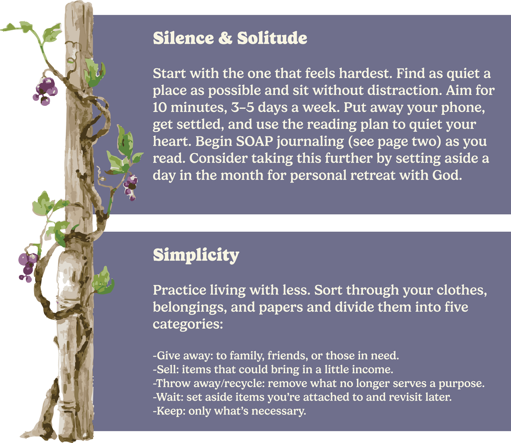 Image depicting a wooden post with vines and grapes, featuring text on "Silence & Solitude" and "Simplicity," emphasizing spiritual practices for personal retreat and decluttering in the context of the 'Abide' program at OV Church.