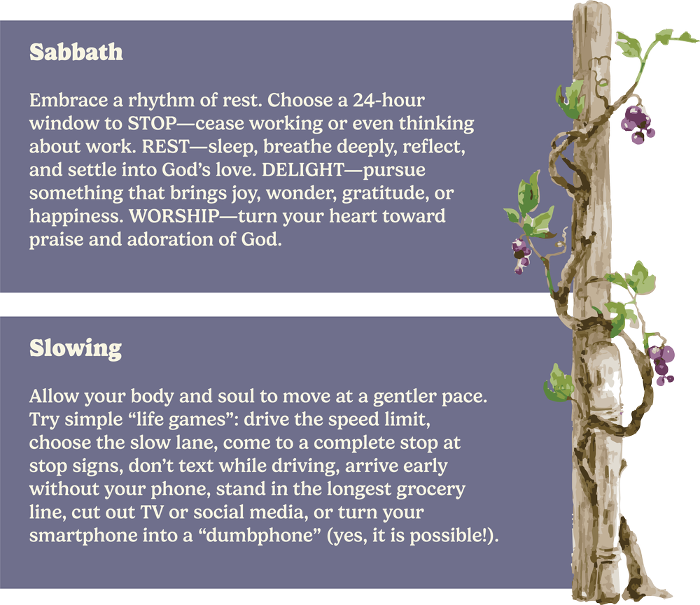 Sabbath and slowing down practices for spiritual growth, featuring rest, reflection, and intentional living, with decorative vine elements.